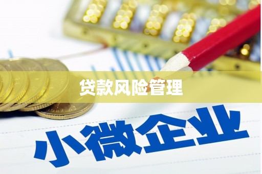 昔阳贷款风险管理