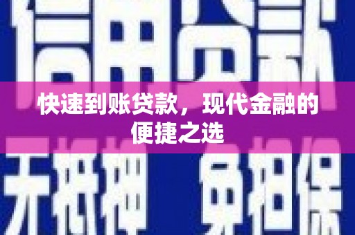崖州快速到账贷款，现代金融的便捷之选