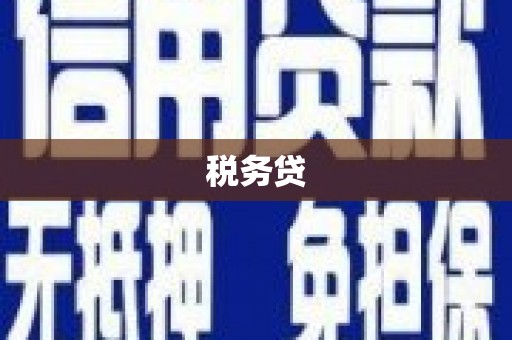 冀州税务贷