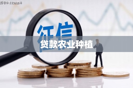 远安贷款农业种植