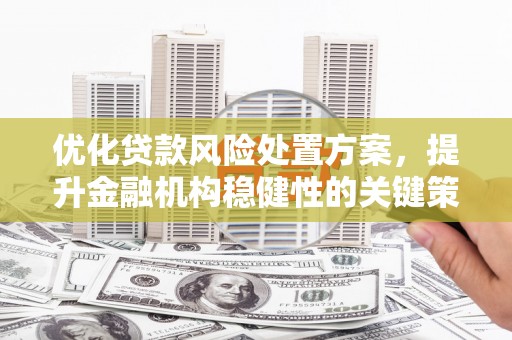 长寿优化贷款风险处置方案，提升金融机构稳健性的关键策略