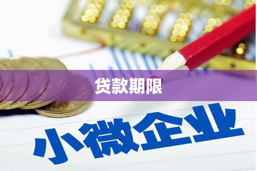 三水贷款期限