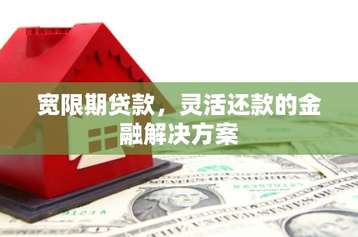 大埔宽限期贷款，灵活还款的金融解决方案