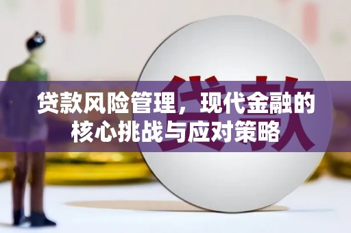太麻里贷款风险管理，现代金融的核心挑战与应对策略