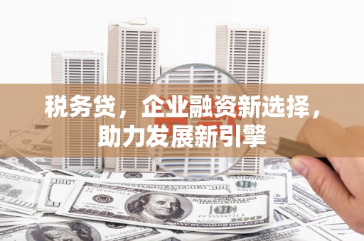 弥陀税务贷，企业融资新选择，助力发展新引擎