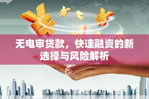 云林无电审贷款，快速融资的新选择与风险解析