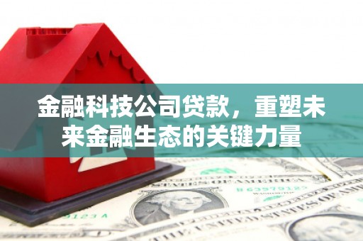 灌云金融科技公司贷款，重塑未来金融生态的关键力量