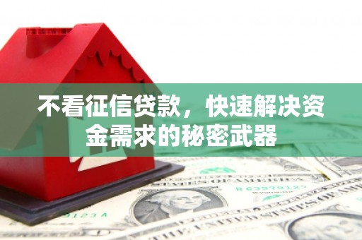 丹寨不看征信贷款，快速解决资金需求的秘密武器