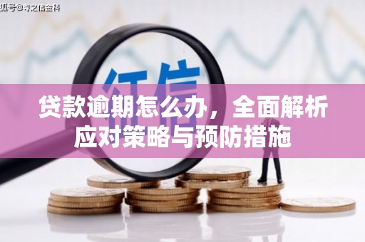 六龟贷款逾期怎么办，全面解析应对策略与预防措施
