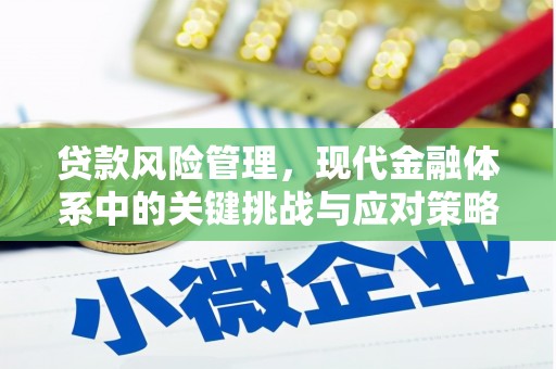 汕尾贷款风险管理，现代金融体系中的关键挑战与应对策略