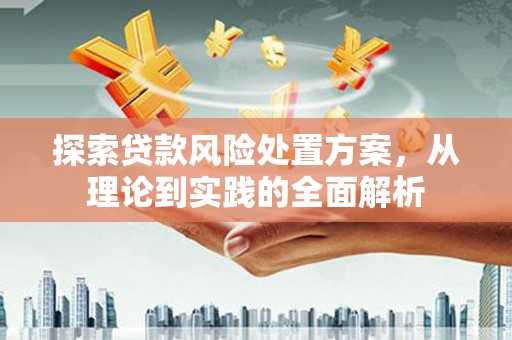 乳源探索贷款风险处置方案，从理论到实践的全面解析
