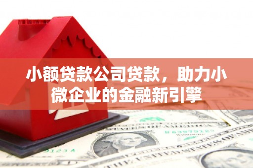 巴马小额贷款公司贷款，助力小微企业的金融新引擎