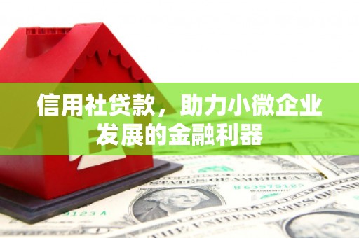 新津信用社贷款，助力小微企业发展的金融利器