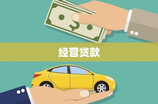 卧龙经营贷款