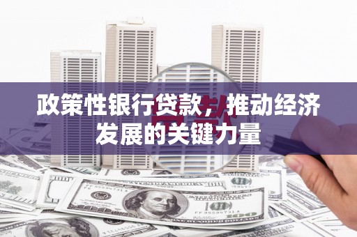 旺苍政策性银行贷款，推动经济发展的关键力量
