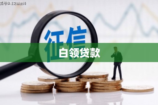 延川白领贷款
