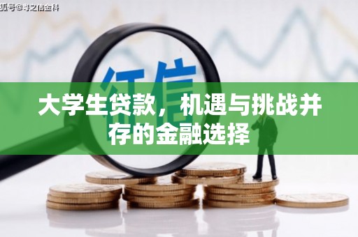 宝山大学生贷款，机遇与挑战并存的金融选择