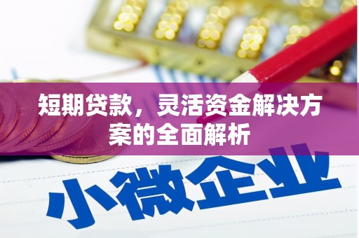 麦寮短期贷款，灵活资金解决方案的全面解析