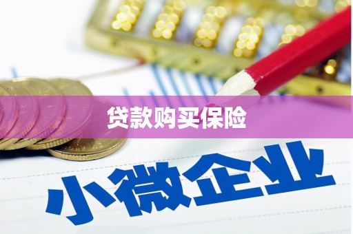 徽县贷款购买保险