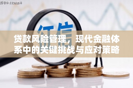 连云港贷款风险管理，现代金融体系中的关键挑战与应对策略