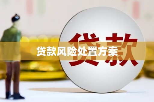 宁县贷款风险处置方案