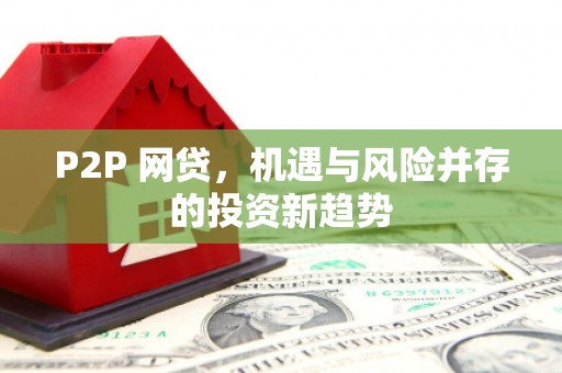 沙湾P2P 网贷，机遇与风险并存的投资新趋势