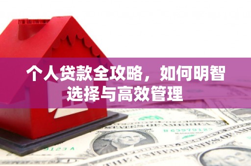 张湾个人贷款全攻略，如何明智选择与高效管理