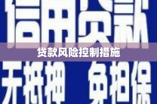 双流贷款风险控制措施