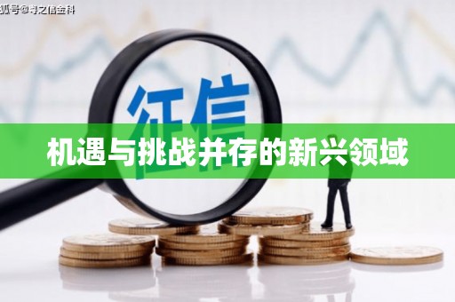 靖西机遇与挑战并存的新兴领域