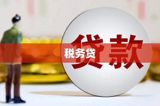 宜宾税务贷