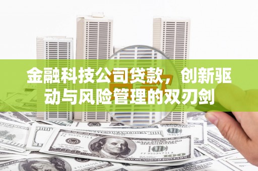高坪金融科技公司贷款，创新驱动与风险管理的双刃剑